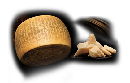 parmigiano reggiano